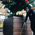 man wearing mask and spraying Gel to eliminates pest in area.