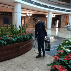pest control