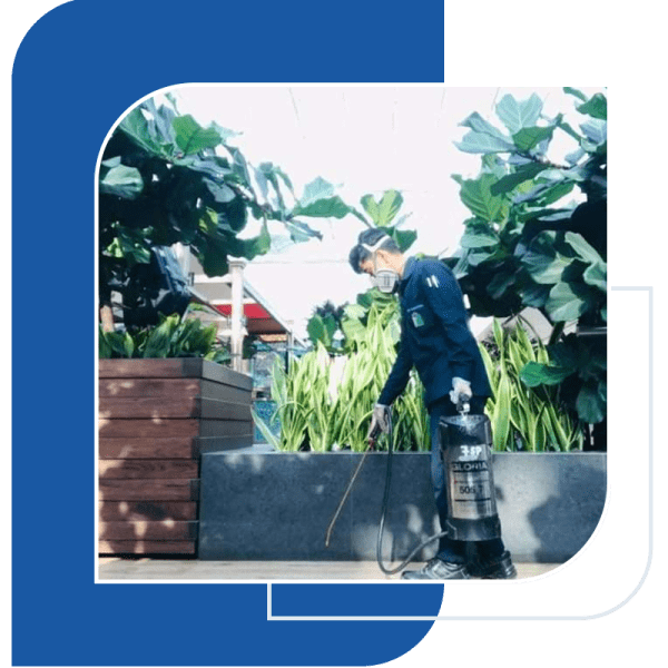 a man spraying the pest chemicals for controlling the pest