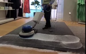 Upholstery Cleaning Services