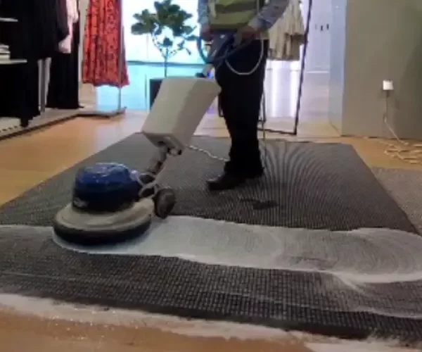Upholstery Cleaning Services