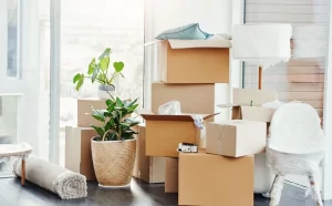 Move In and Move Out Cleaning