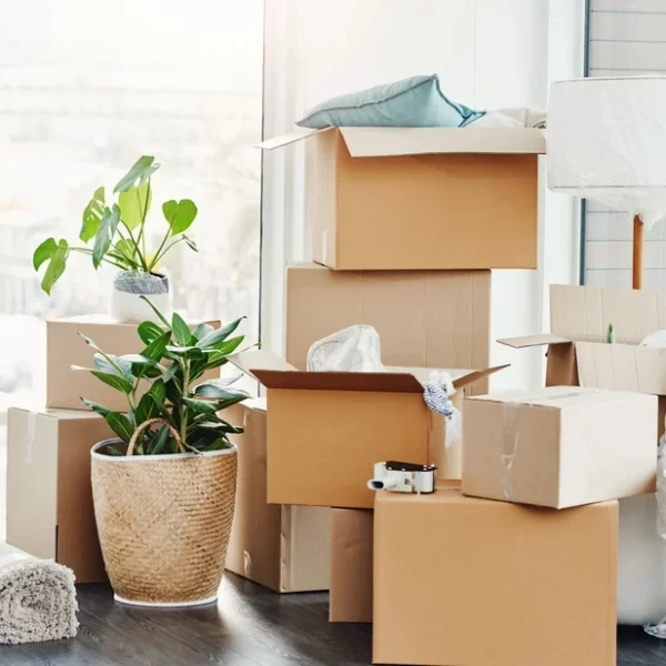 Move In and Move Out Cleaning