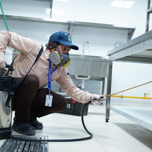 Pest Control in Dubai Restaurant