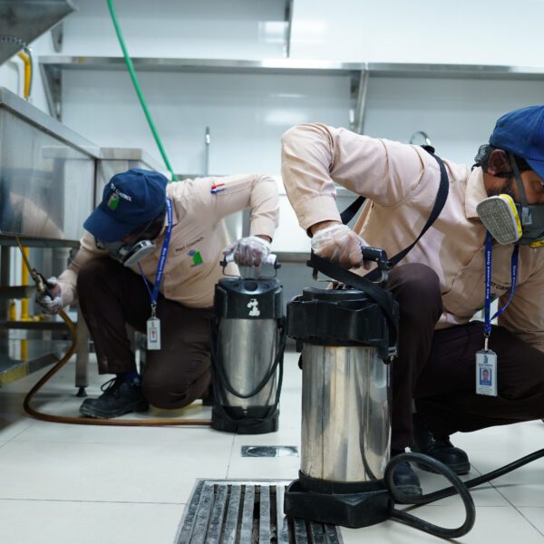 Commercial pest control in UAE