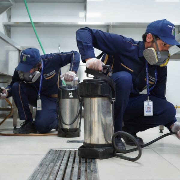 Professional pest control treatment service