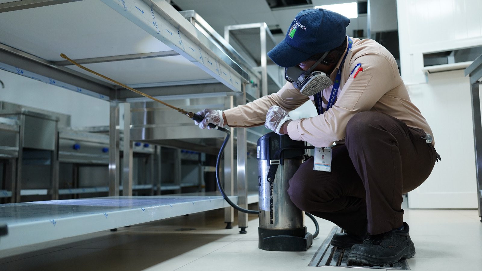 Commercial pest control services in UAE