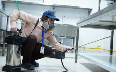 Pest Control in Dubai Restaurant